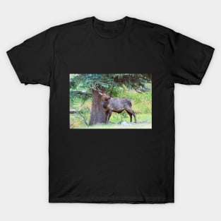 Elk in the Rain T-Shirt